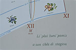 Anteprima 6